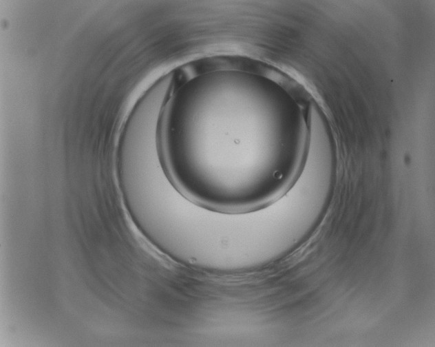 X0000071331342200607141856