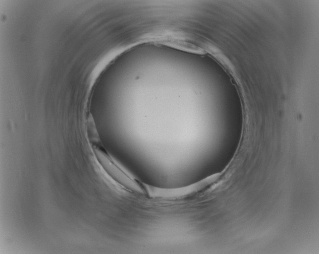 X0000071331344200607141856