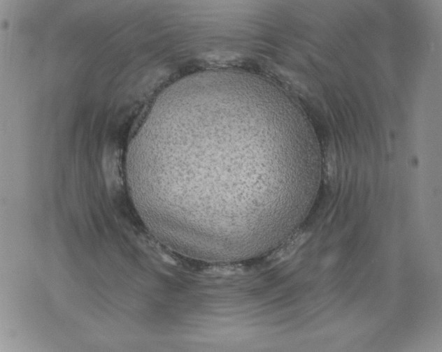 X0000071331346200607141855