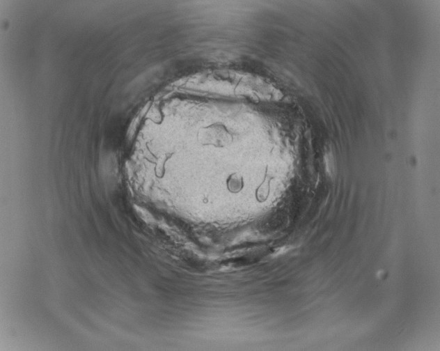 X0000071331347200607141855