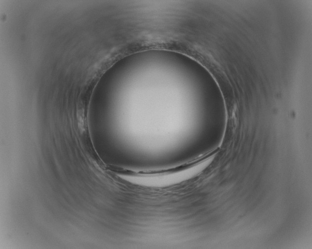 X0000071331348200607141855