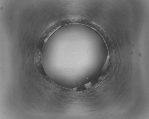 X0000071331349200607141855