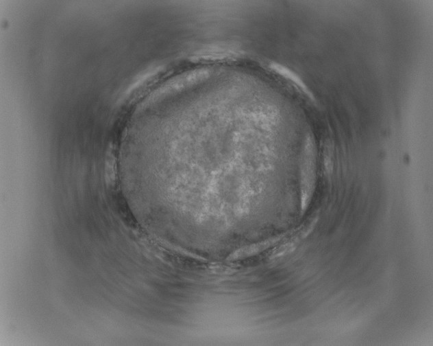 X0000071331350200607141855