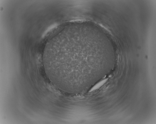 X0000071331351200607141855