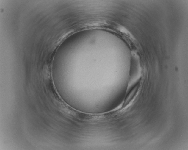 X0000071331353200607141855