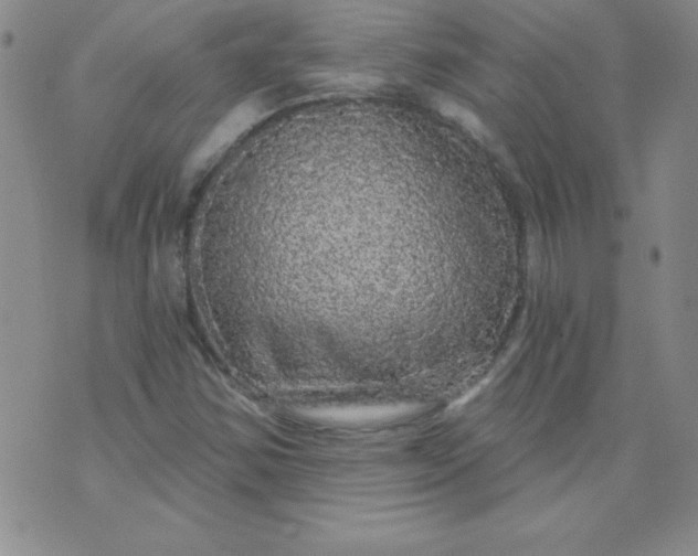 X0000071331354200607141855