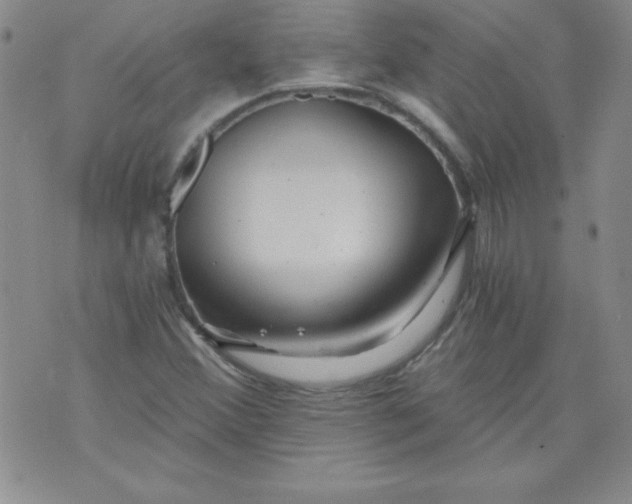 X0000071331356200607141855