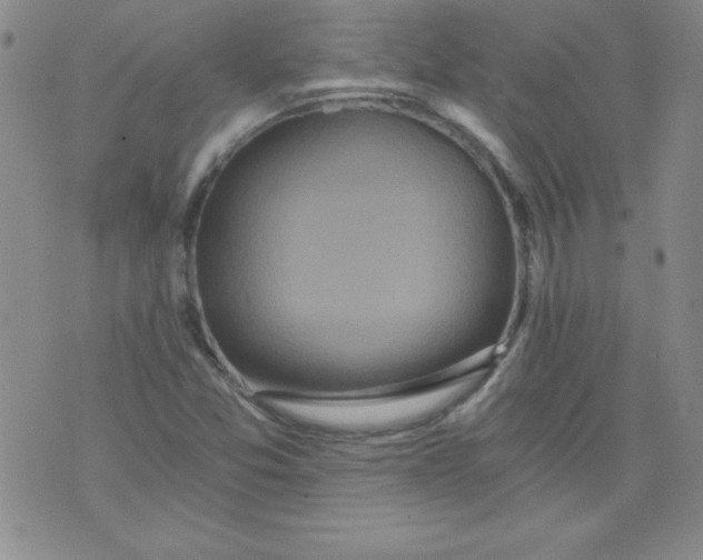 X0000071331357200607141855