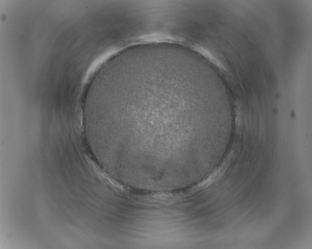 X0000071331358200607141855