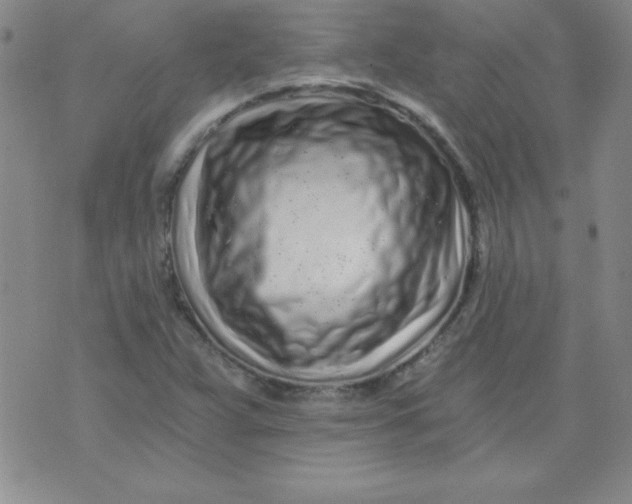 X0000071331359200607141855