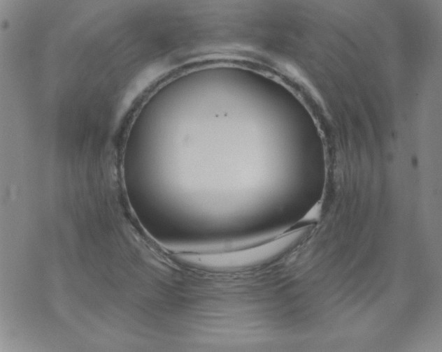 X0000071331360200607141855