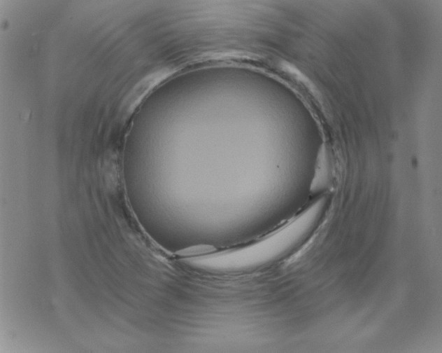 X0000071331361200607141855