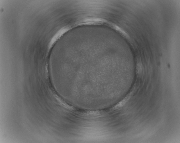 X0000071331362200607141855