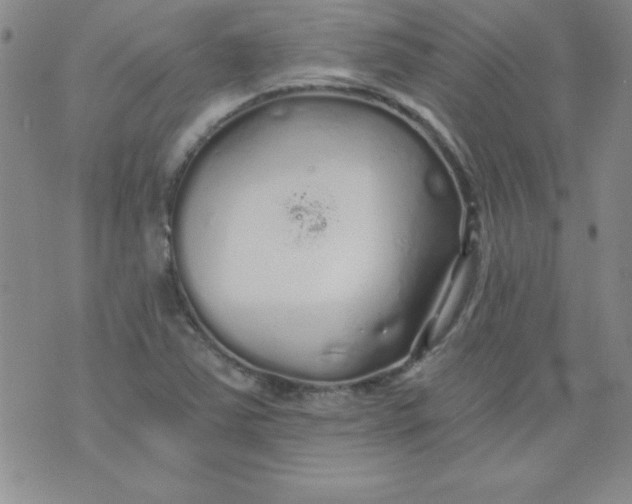 X0000071331363200607141855