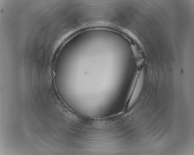 X0000071331364200607141855