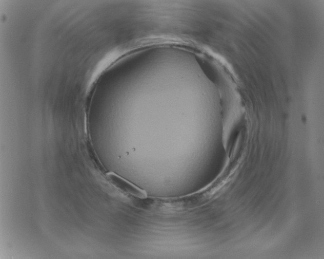 X0000071331365200607141855