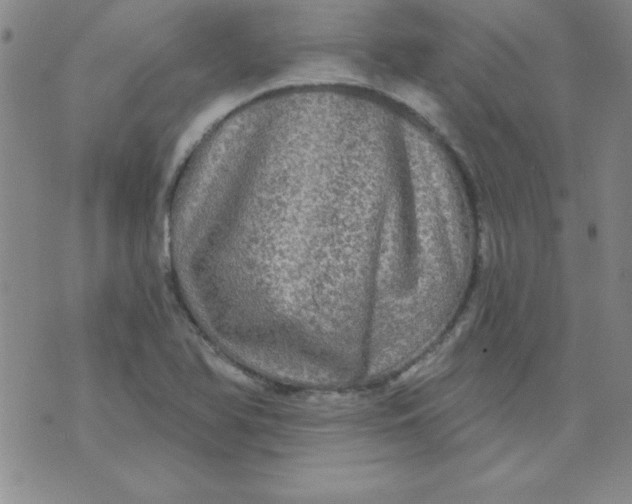 X0000071331366200607141855