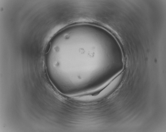 X0000071331367200607141855