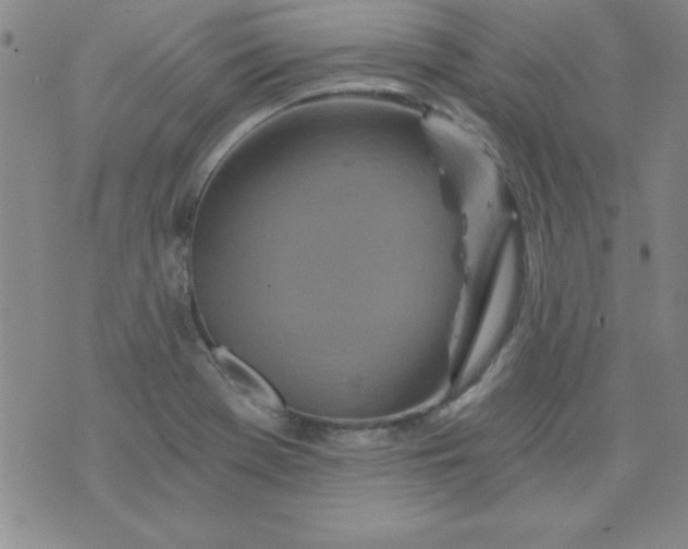 X0000071331369200607141855