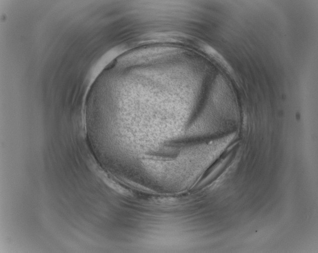 X0000071331370200607141855