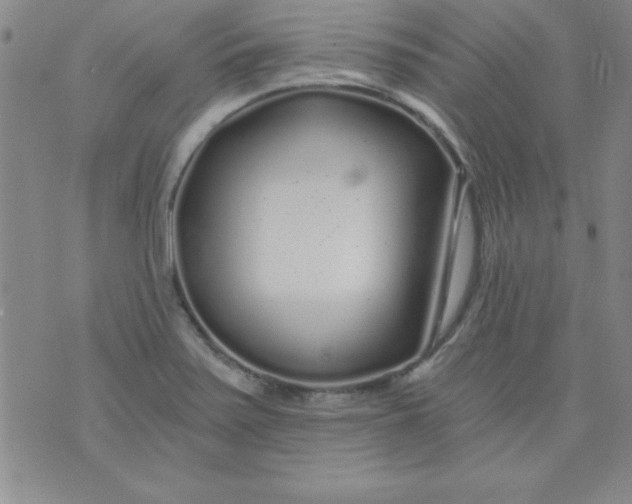 X0000071331371200607141855