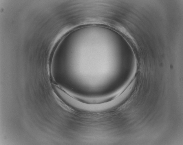 X0000071331372200607141855