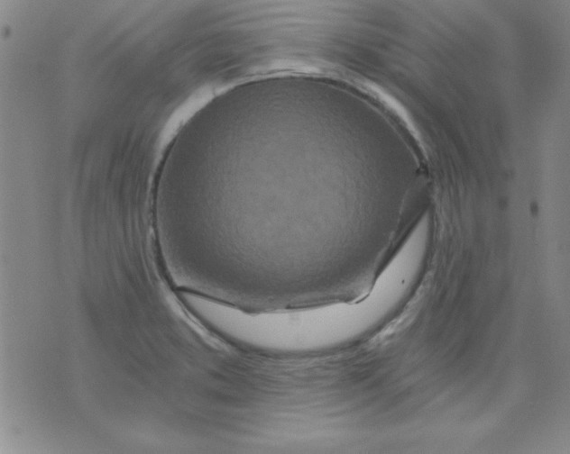 X0000071331373200607141855