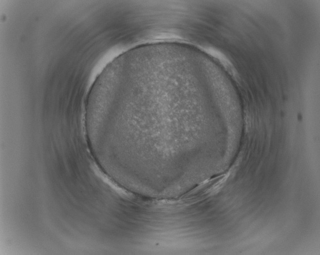 X0000071331374200607141855