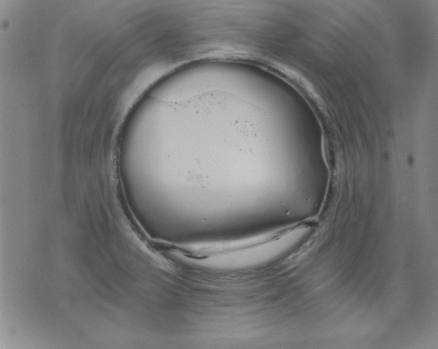 X0000071331375200607141855