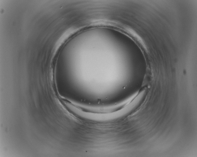 X0000071331376200607141855