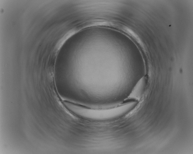 X0000071331377200607141855