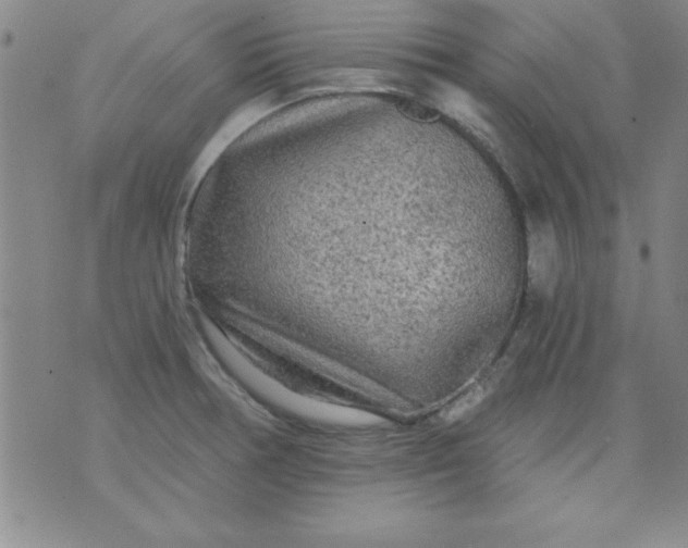 X0000071331378200607141855