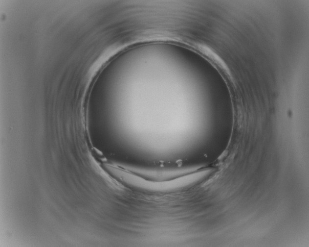 X0000071331380200607141855