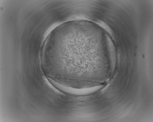 X0000071331382200607141855