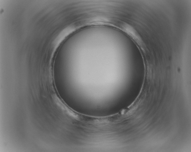 X0000071331384200607141855