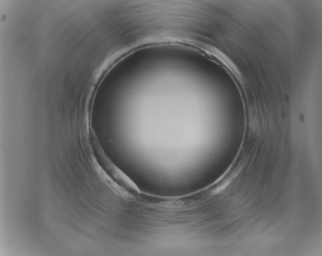 X0000071331388200607141855