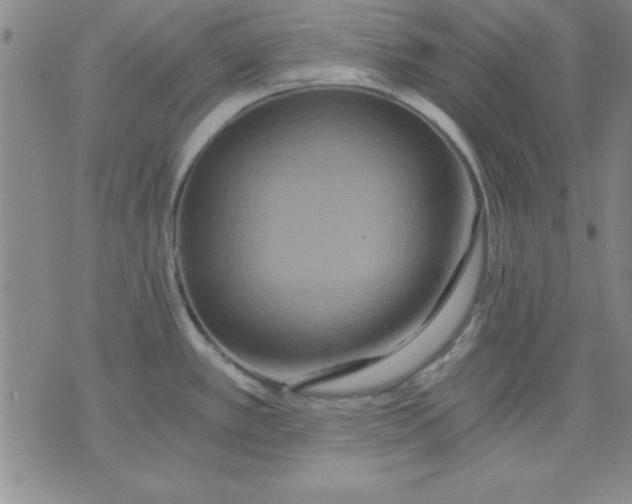 X0000071331389200607141854