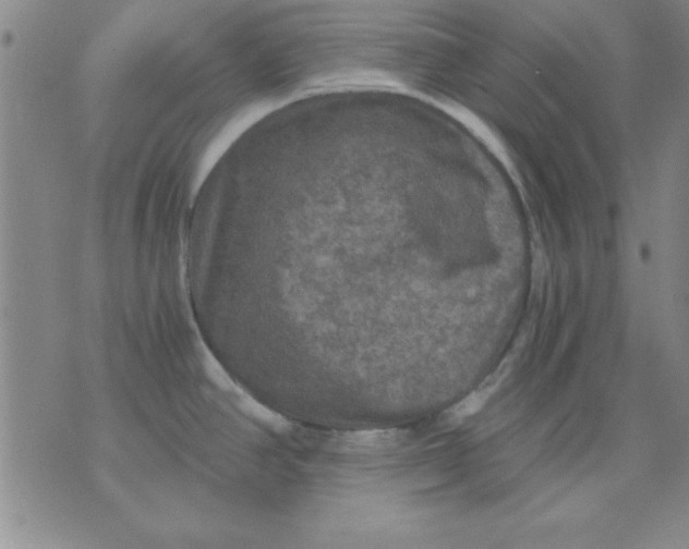 X0000071331390200607141854