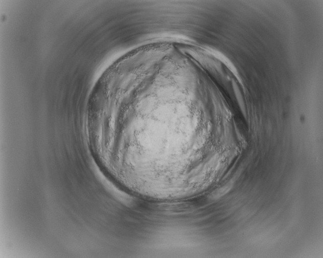 X0000071331391200607141854