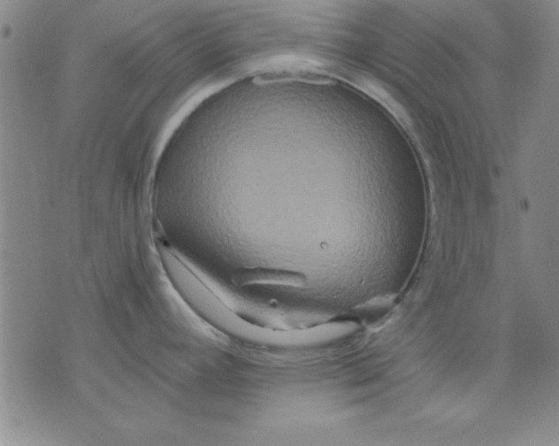 X0000071331392200607141854