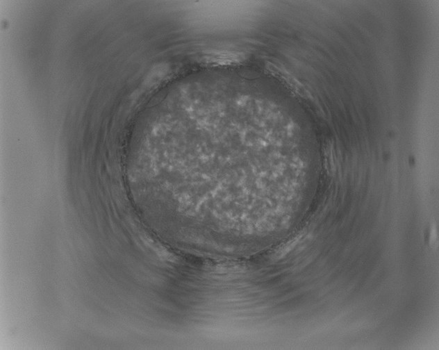 X0000071331393200607141854