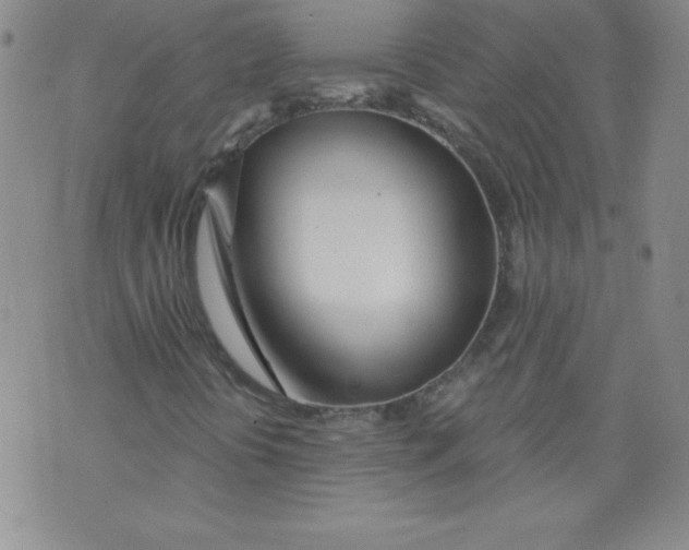 X0000071331394200607141854