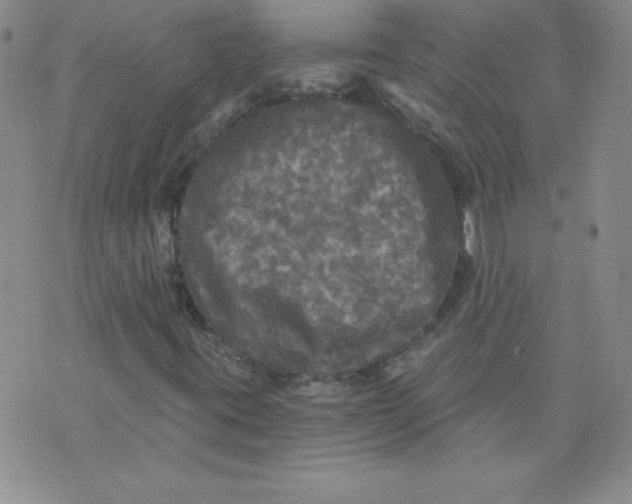 X0000071331395200607141854