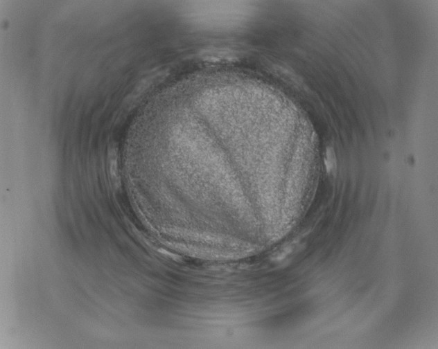 X0000071331396200607141854