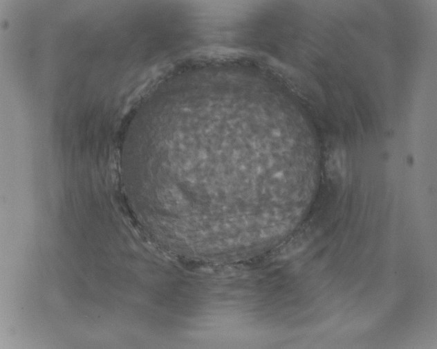 X0000071331397200607141854