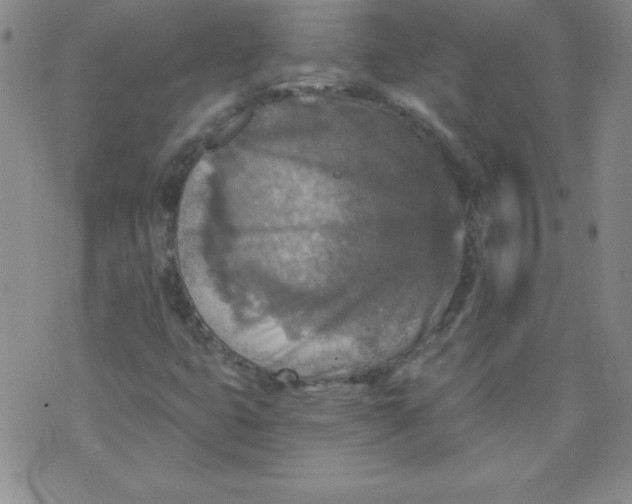 X0000071331399200607141854