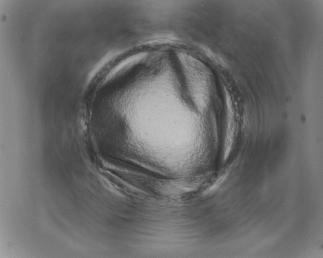 X0000071331400200607141854