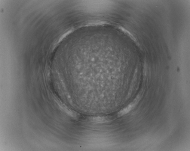 X0000071331401200607141854