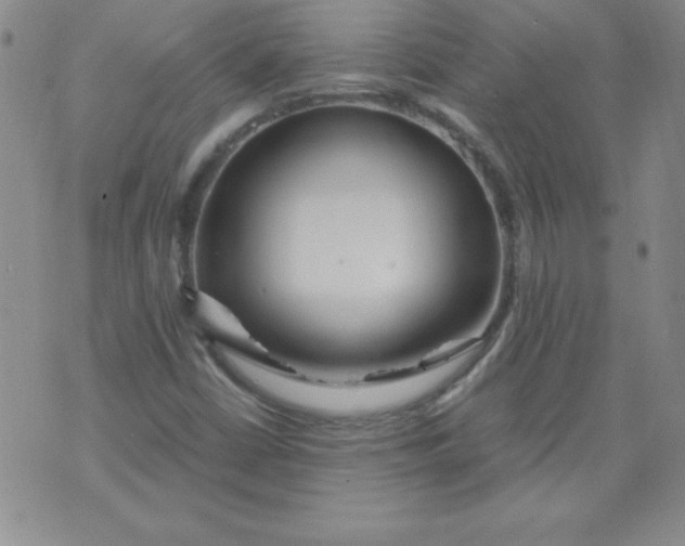 X0000071331402200607141854