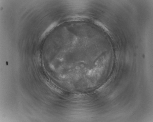 X0000071331403200607141854